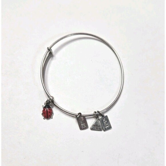 Jewelry Lot Ladybug Love Theme Clean Curated Bundle Free Gift - Picture 14 of 16